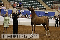 11r12_2711 thumbnail