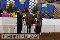 11r12_2728 thumbnail