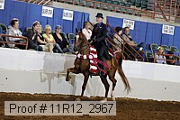 11r12_2967 thumbnail
