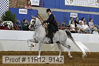 11r12_9142 thumbnail