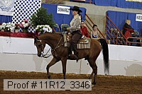 11r12_3346 thumbnail