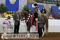 11r12_3374 thumbnail