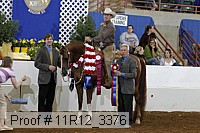 11r12_3376 thumbnail