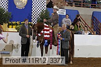 11r12_3377 thumbnail