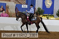 11r12_3381 thumbnail
