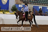 11r12_3385 thumbnail