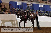 11r12_3386 thumbnail