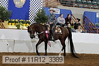 11r12_3389 thumbnail