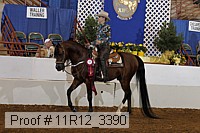 11r12_3390 thumbnail
