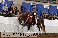 11r12_3393 thumbnail