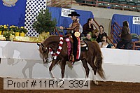 11r12_3394 thumbnail