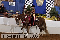 11r12_3396 thumbnail
