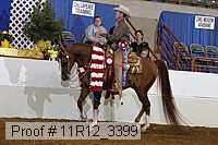 11r12_3399 thumbnail