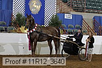 11r12_3640 thumbnail