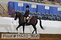 11r12_3688 thumbnail