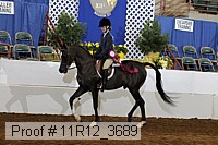 11r12_3689 thumbnail