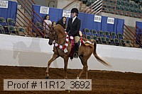 11r12_3692 thumbnail