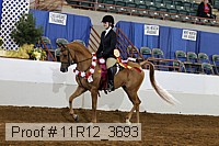 11r12_3693 thumbnail