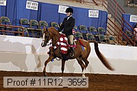 11r12_3695 thumbnail