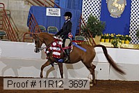 11r12_3697 thumbnail