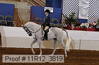 11r12_3819 thumbnail