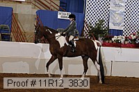 11r12_3830 thumbnail