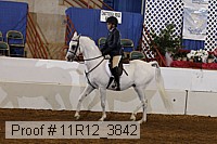 11r12_3842 thumbnail