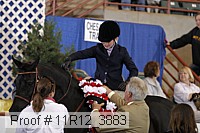 11r12_3883 thumbnail