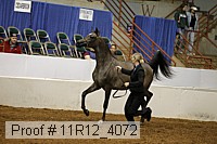 11r12_4072 thumbnail