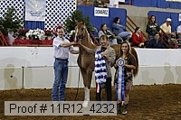 11r12_4232 thumbnail