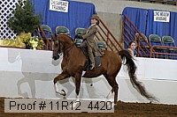 11r12_4420 thumbnail
