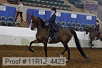 11r12_4423 thumbnail