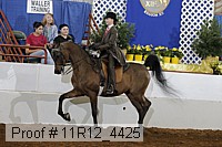 11r12_4425 thumbnail