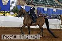 11r12_4431 thumbnail