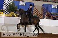 11r12_4435 thumbnail