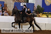 11r12_4436 thumbnail