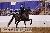 11r12_4438 thumbnail