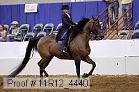 11r12_4440 thumbnail