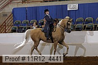 11r12_4441 thumbnail