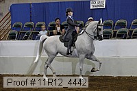 11r12_4442 thumbnail