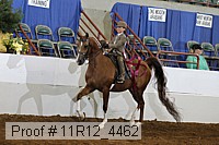 11r12_4462 thumbnail