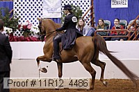 11r12_4486 thumbnail