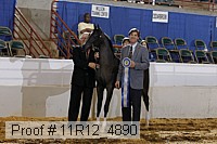 11r12_4890 thumbnail