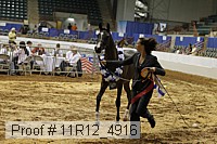 11r12_4916 thumbnail