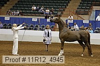11r12_4945 thumbnail