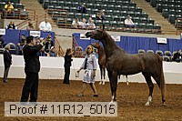 11r12_5015 thumbnail