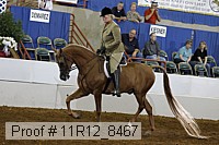 11r12_8467 thumbnail