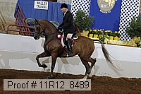 11r12_8489 thumbnail