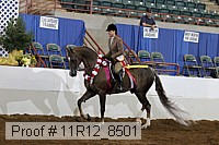11r12_8501 thumbnail