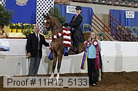 11r12_5133 thumbnail